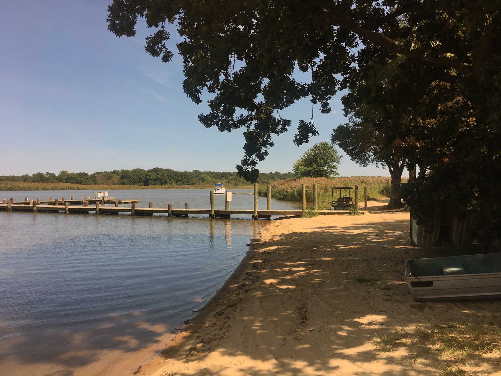 Duck Neck Campground photo 2